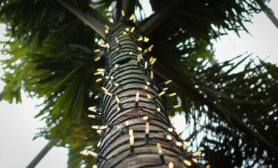 Christmas in St Barts